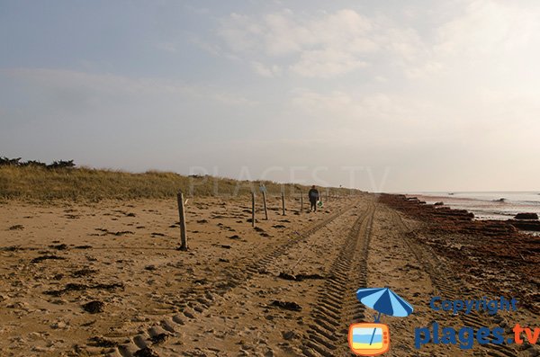 Spiaggia del Bois Soret a Notre Dame de Monts