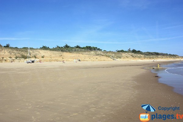 Falaises de la plage de Boisvinet - Jard sur Mer