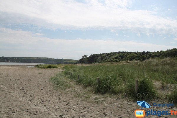 Environnement de la plage de Bon Abri - Hillion