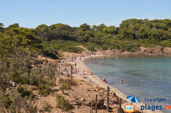 Plage de Bon Renaud à Porquerolles