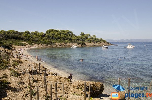 Foto della spiaggia Bon Renaud a Porquerolles - Francia