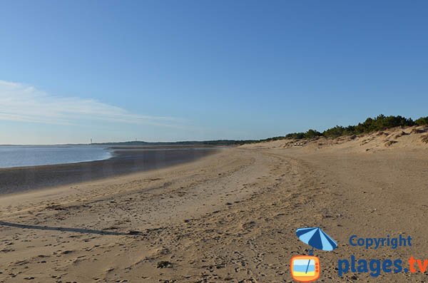 Photo of Bonne Anse beach - La Palmyre