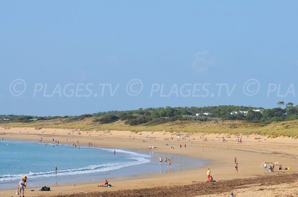 Photo of Bonnes beach in Oléron (St Georges) - France