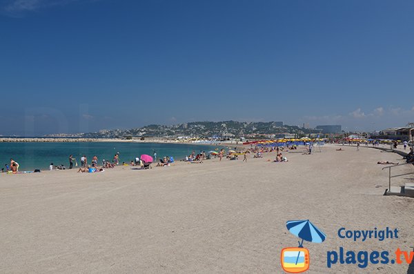 Plage de Bonneveine en été avec des plages privées - Marseille