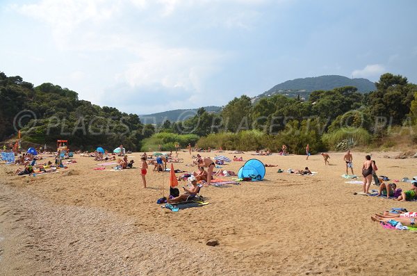 Environnement de la plage de Bonporteau à Cavalaire