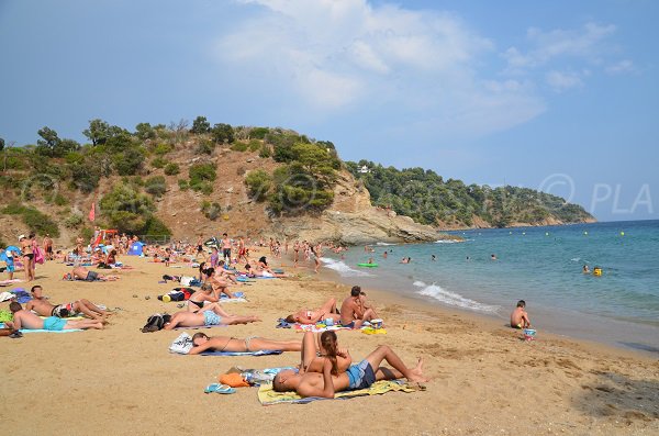 Foto della spiaggia di Bonporteau a Cavalaire sur Mer - Francia