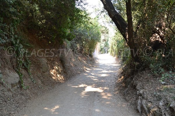 Sentier d'accès à la plage de Bonporteau à Cavalaire sur Mer