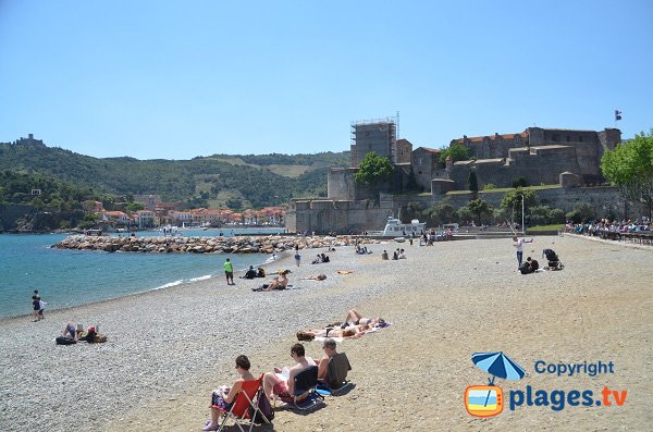 Plage de Collioure à côté du Château Royal