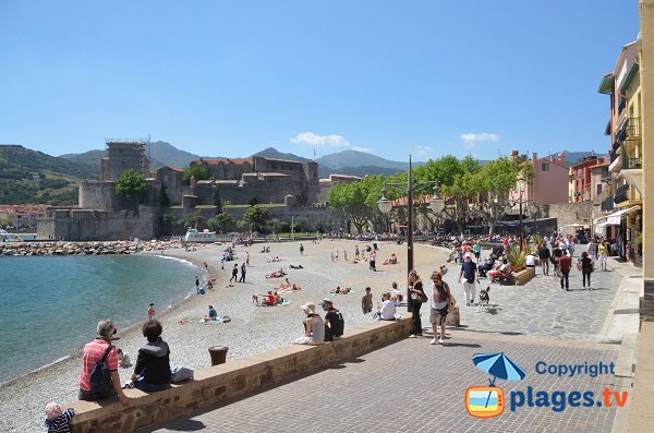 Strand Boramar in Collioure