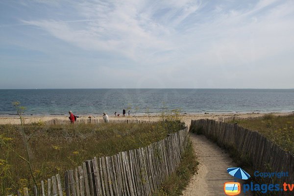 Dunes around Palais beach - Bordardoué