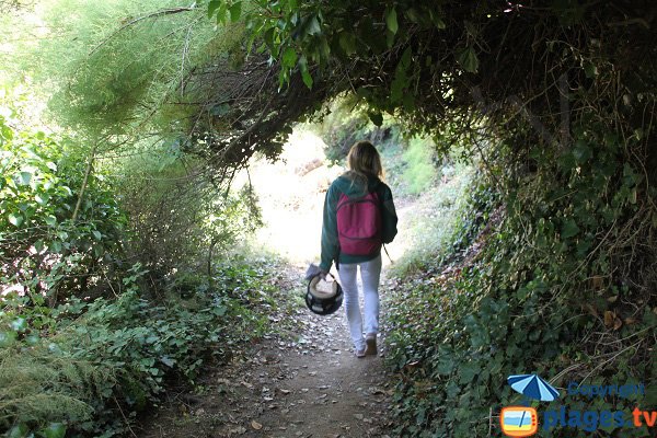 Sentier d'accès à la plage de Bordery à Sauzon