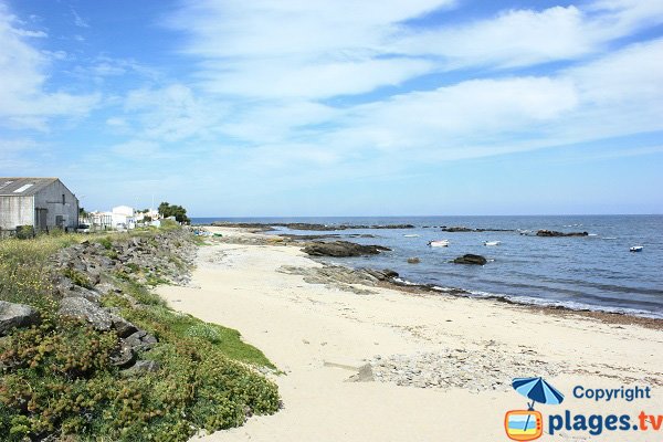 Plage de Borgne - Ile d'Yeu - pointe du Bouet