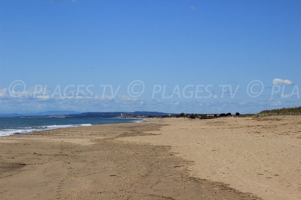 Beach next to forest of Bosquet in Portiragnes