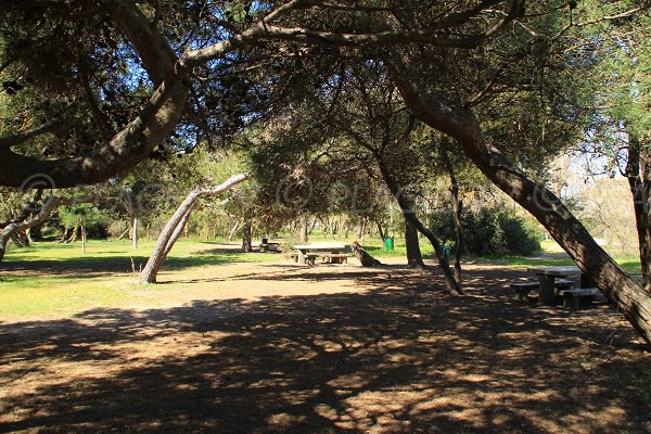 Picnic area in Portiragnes