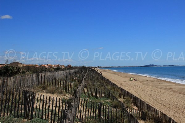 Bosquet beach in Portiragnes - France