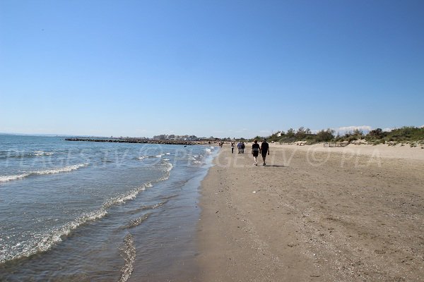 Dunes on the beach in Grau du Roi