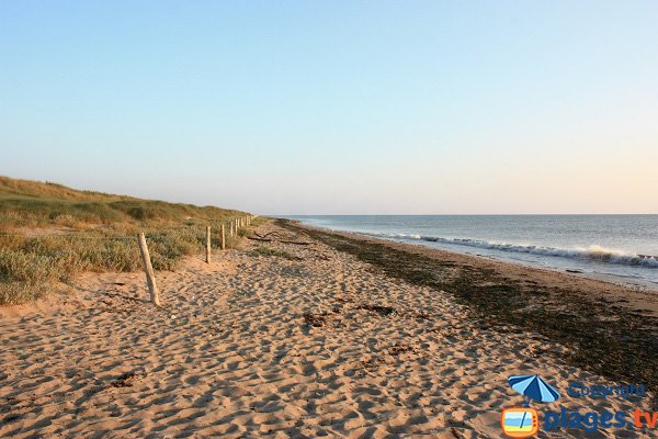 Spiaggia Boucholeurs - Barbabre - Noirmoutier