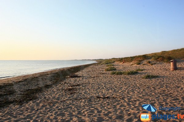 Photo de la plage des Boucholeurs à Noirmoutier - Vue vers le nord