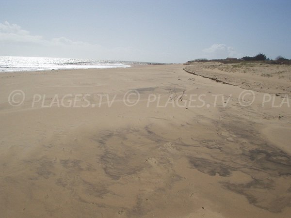 Photo of Bouchots beach in La Tranche sur Mer