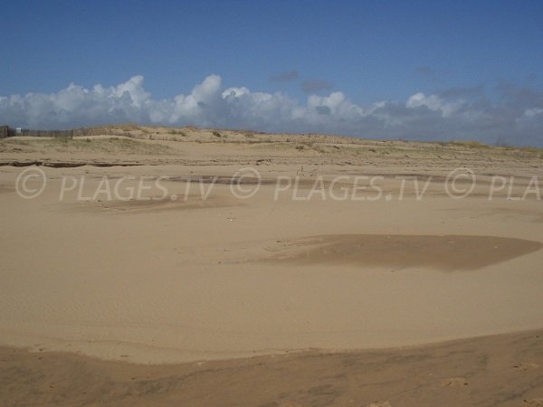 Dunes de la plage des Bouchots à La Tranche sur Mer