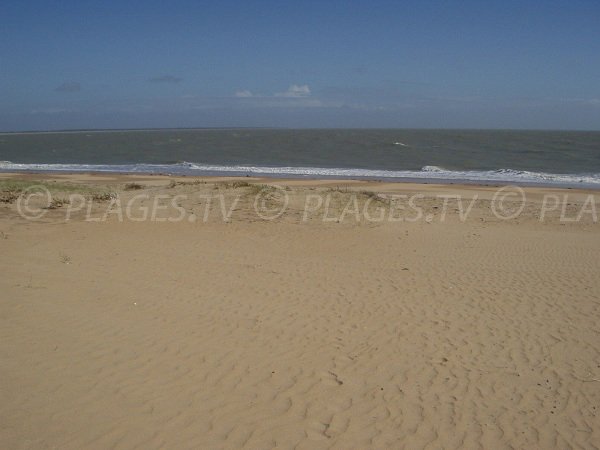 Plage publique des Bouchots La Grière