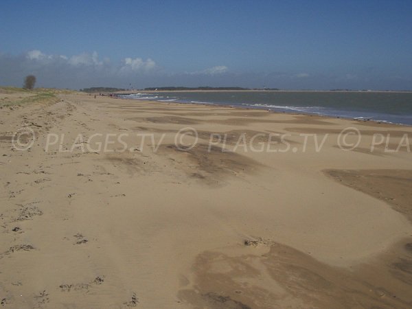 Bouchots beach in La Tranche sur Mer in France