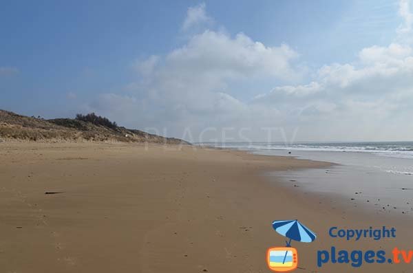 Dunes de la plage du Bouil - secteur Crabasse du Puits et Raisinet