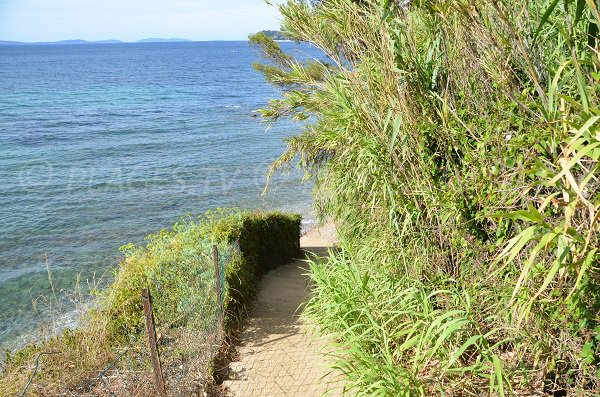 Sentier donnant accès à la plage de la Bouillabaisse