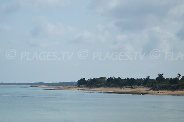 Plage sud de La Brée les Bains et St Georges d'Oléron - Ile d'Oléron