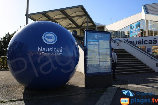 acquario Nausicaa a Boulogne sur Mer - Francia