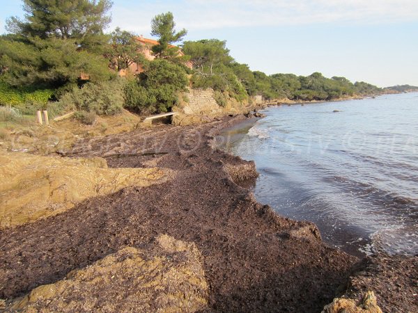 Bouvet beach in Giens in France