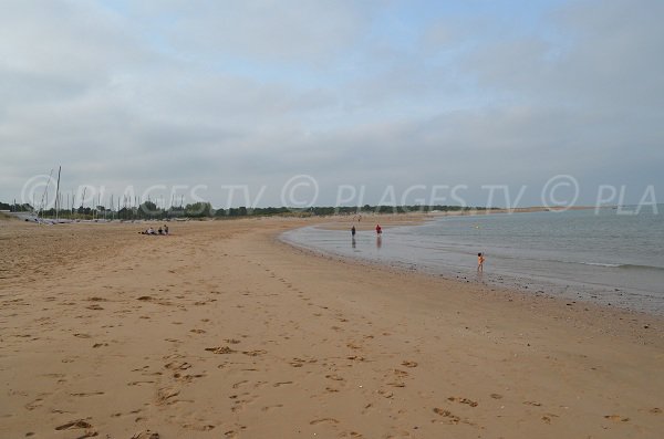 Beach along the forest of Saumonards in Oleron