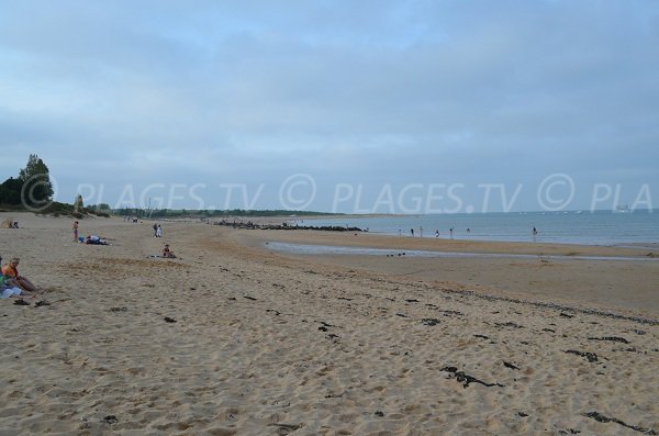 Boyardville beach in Oléron in France