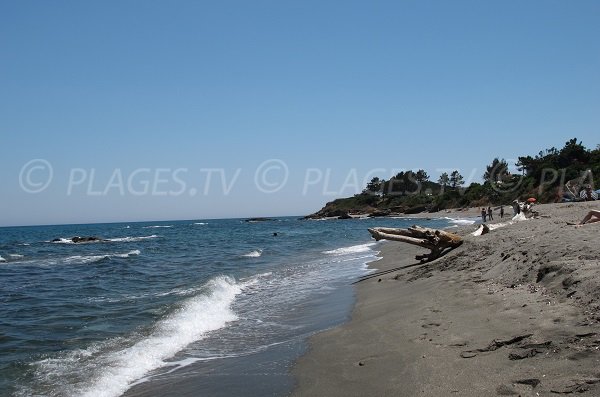 Plage sauvage de Bravone en Haute Corse