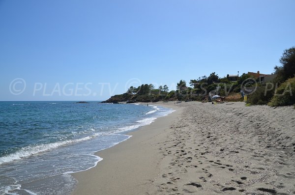 Beach near the marina of Bravone in Corsica