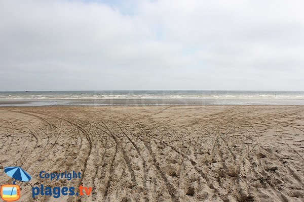 Baignade sur la plage de la Brèche à Audouville la Hubert