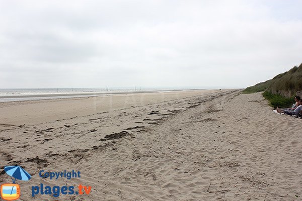 Plage sauvage - Utah Beach