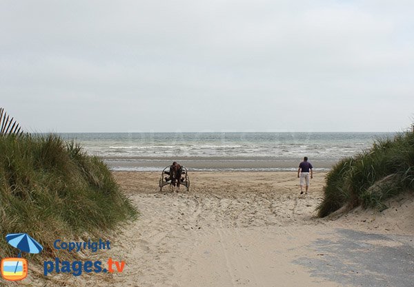 Chevaux sur la plage de la Brèche à Audouville la Hubert