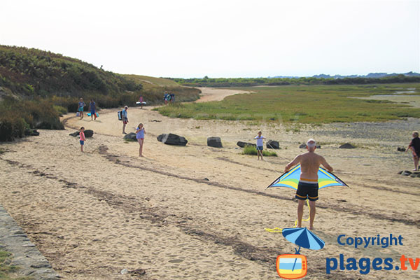 Plage propice aux cerfs-volants