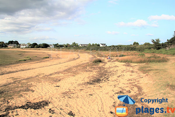 Plage de sable et très végétale