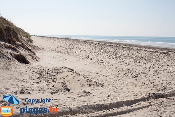 Plage de Bretteville-sur-Ay dans la Manche