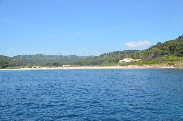  spiaggia Briande di La Croix Valmer - vista dal mare