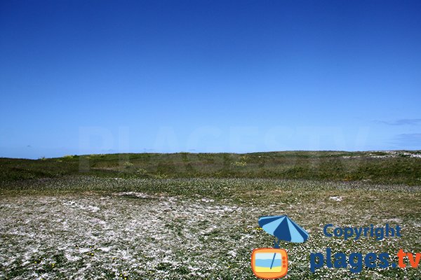 Environnement de l'anse de Brouennou à Landéda