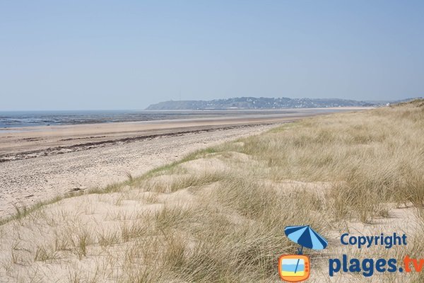 Photo de la plage des Bungalows à St Jean de la Rivière - Manche