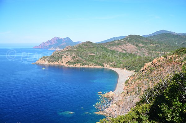 Photo of Bussaglia beach in the gulf of Porto - Serriera