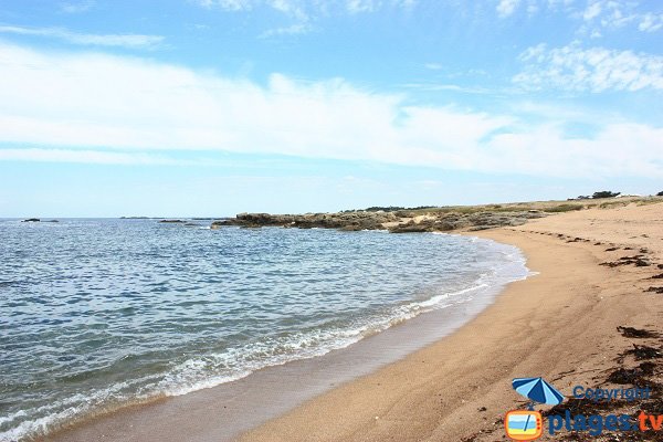 Plage au niveau de la pointe du But sur l'ile d'Yeu