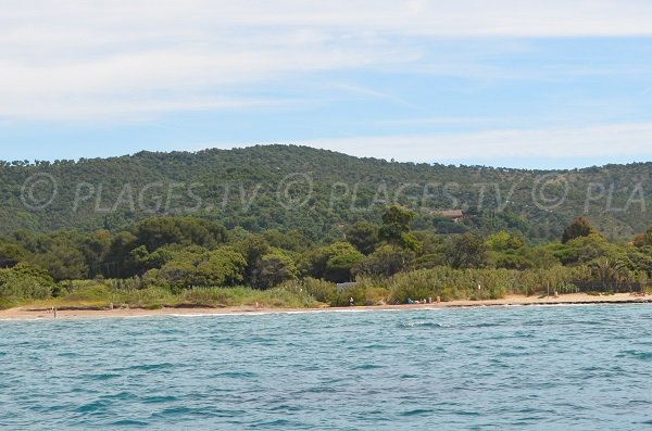 Environnement sauvage de la plage de Cabasson dans le Var à Bormes les Mimosas