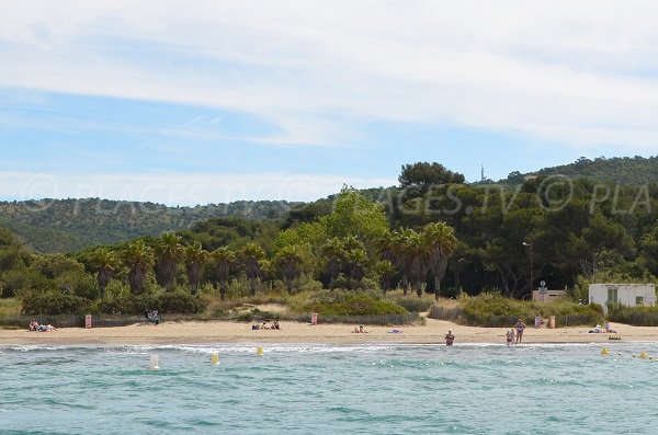 Spiaggia di Cabasson a Bormes les Mimosas