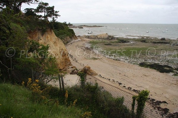 Falaises dans la baie du Cabonnais à Quimiac - Loire-Atlantique