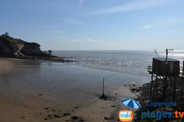 Cadet cove in Meschers sur Gironde